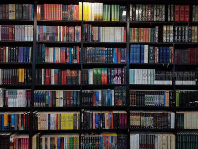彩色书脊排列如彩虹，视觉盛宴尽显秩序