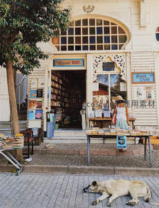 街角独立书店门前，女子驻足浏览，流浪狗安然小憩