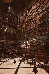 宏伟古典图书馆内部全景