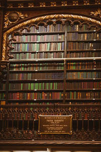 金色雕花书架与彩色藏书