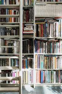 阳光洒落书架间，色彩斑斓的书籍排列如画