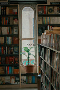 拱形窗边的静谧书屋，绿植点缀书香世界