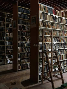 古典图书馆内高耸书架与木梯