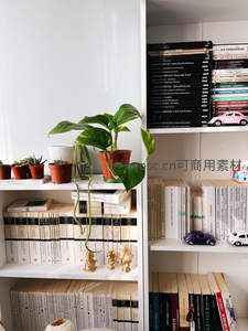 白色书架绿植点缀，书籍与小摆件构成温馨书房