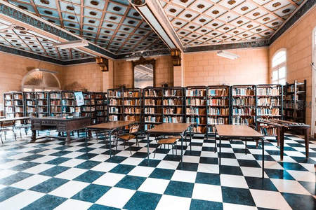 古典图书馆黑白色地砖映衬高耸书架与雕花穹顶