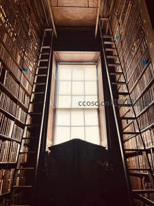 高耸书架与天窗光影的古典图书馆
