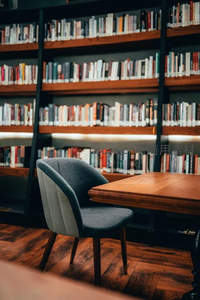 图书馆角落的舒适座椅与满墙书架