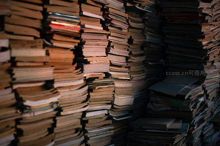 幽暗书海中的微光角落