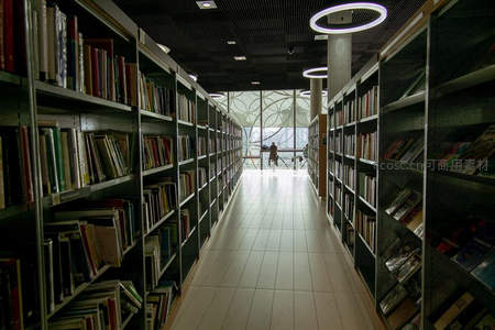 静谧书廊尽头透进自然光的阅读通道