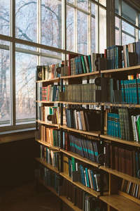 阳光透过大窗洒满图书馆书架