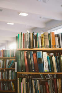 色彩斑斓的书脊排列，知识海洋的视觉盛宴