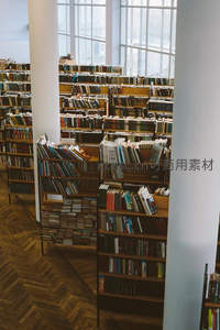 从柱子间窥见的浩瀚书海
