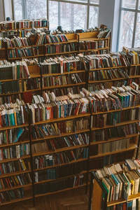 高耸书架满载知识，阳光洒落静谧阅读空间