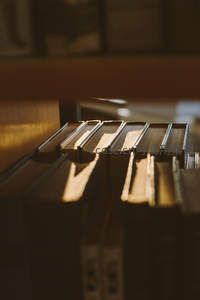 温暖阳光穿透书页缝隙的瞬间