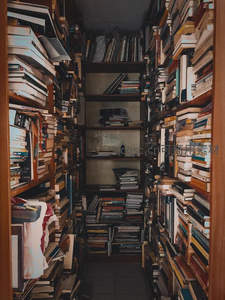 被书籍淹没的狭窄书廊