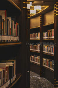深色书架走廊，暖光吊灯营造静谧书香