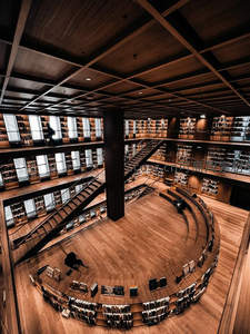 螺旋书海中的静谧阅读空间