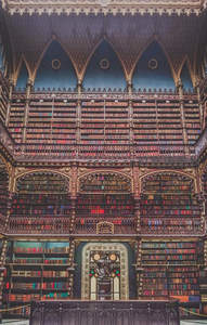 哥特式图书馆穹顶之下，万卷藏书如宫殿般辉煌