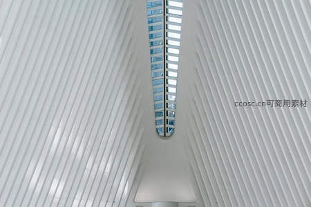 纯白肋骨结构与天窗的极简美学