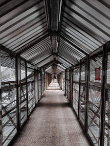 铁网长廊尽头透进微光引人前行