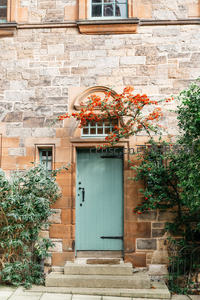 石墙老宅门前的秋日花藤