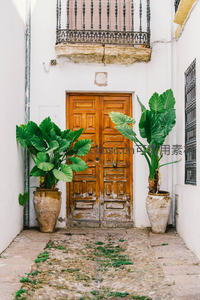 白色巷道木门两侧绿植陶罐