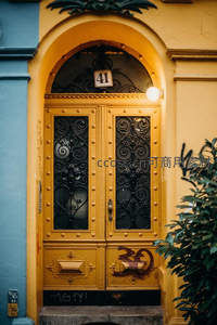 华丽铁艺镶嵌的金色复古大门特写