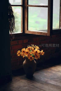 阳光洒落陶罐黄花静美