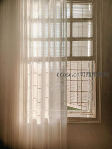 薄纱窗帘后窗格透出温柔日光