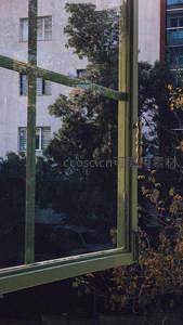 绿色窗框倒映街景，树影婆娑光影交错