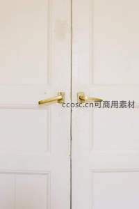 简约白色双开门配金色把手，现代雅致
