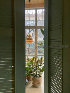 百叶窗缝隙间，绿植与暖灯映窗外景