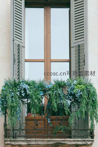 繁茂绿植垂挂窗台，清新自然的都市阳台