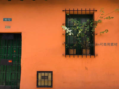 橙墙绿窗映生机，藤蔓攀爬添雅致