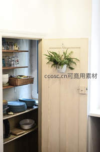 厨房角落绿植点缀温馨日常