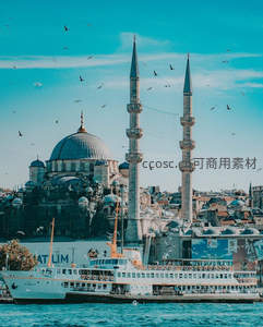 清真寺穹顶双塔映衬海鸥飞舞渡轮