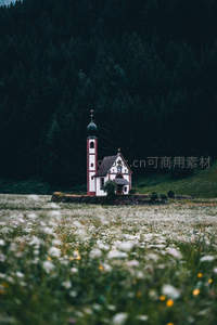花海中的宁静教堂，森林环抱如世外桃源