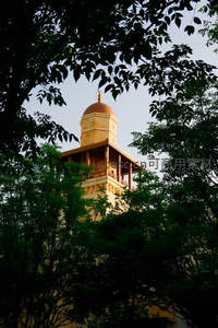 树影婆娑中的金色穹顶钟楼