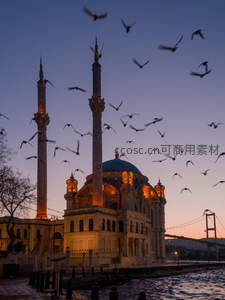 黄昏时分飞鸟环绕的清真寺