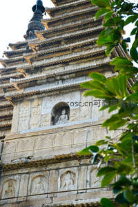 绿叶掩映下的佛塔浮雕特写