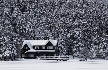 雪覆森林中的童话小屋静谧安详