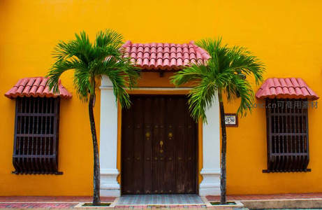 明黄墙前棕榈树下的殖民风格门廊