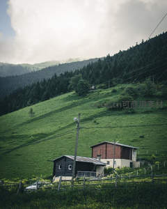 绿野山丘上的木屋农舍，云雾缭绕显宁静