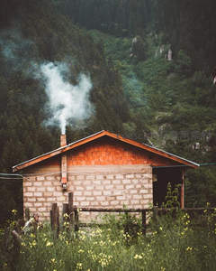 山间砖房炊烟袅袅，黄花点缀田园诗意