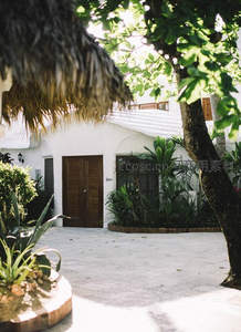 热带庭院绿意盎然