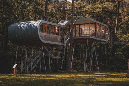 森林树屋奇观，现代设计与自然融合