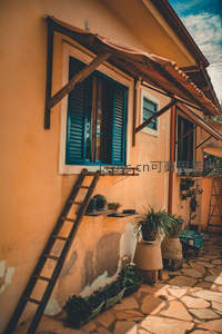 橙墙蓝窗的庭院角落，梯子与绿植相映成趣