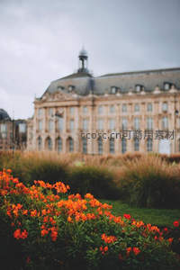 橙色花丛前的古典宫殿远景