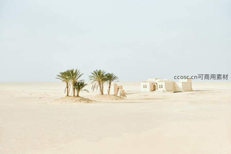 沙漠孤岛白屋椰影成趣