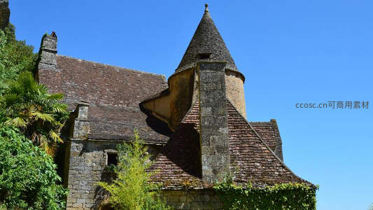 藤蔓缠绕的古老石屋塔楼